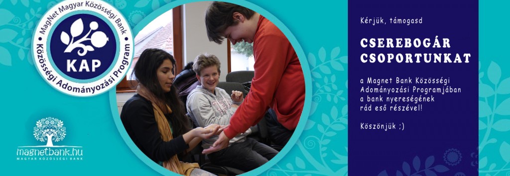 kap2016_slide-1024x355